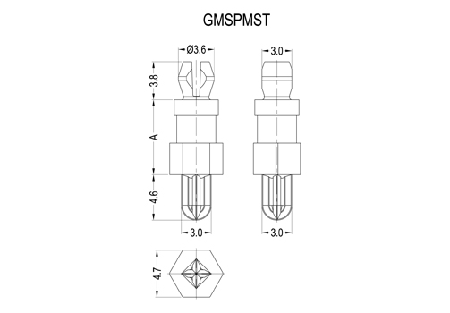 GMSPMST 2D 503X350.jpg